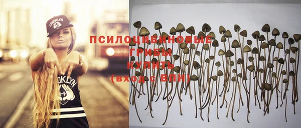 дмт Балабаново