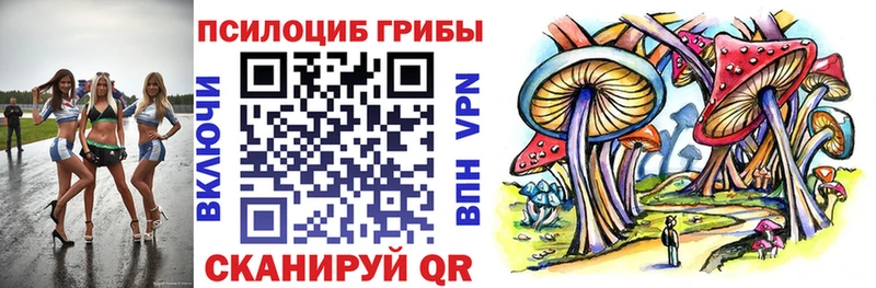 Галлюциногенные грибы Psilocybine cubensis  Гремячинск 